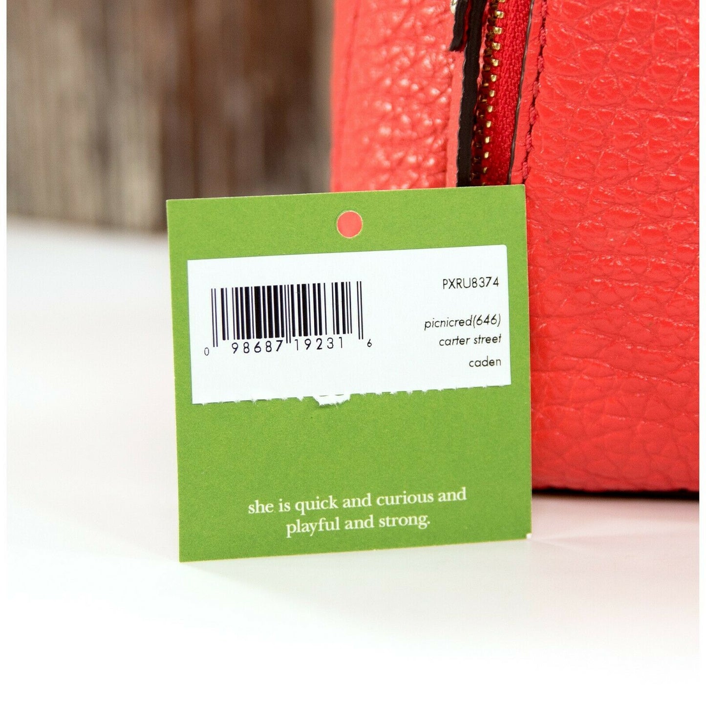 Kate Spade Carter Street Caden Picnic Red Leather Backpack Bag NWT